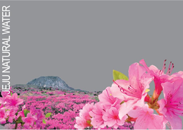 JEJU NATURAL WATER trademark