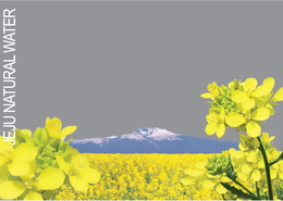 JEJU NATURAL WATER trademark