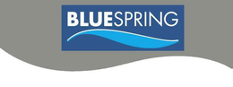 BLUESPRING trademark