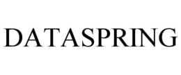 DATASPRING trademark