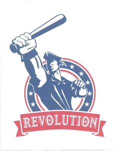 REVOLUTION trademark
