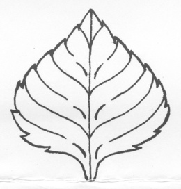 LogoMark trademark