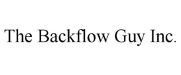 THE BACKFLOW GUY INC. trademark
