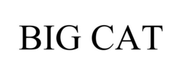 BIG CAT trademark