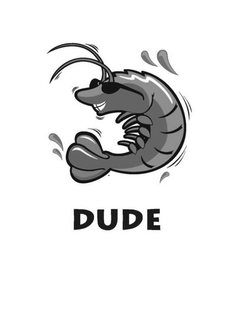 DUDE trademark