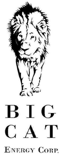 BIG CAT ENERGY CORP. trademark