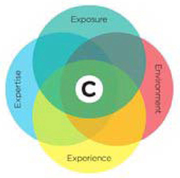 C EXPOSURE ENVIRONMENT EXPERIENCE EXPERTISE trademark