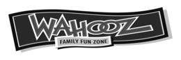 WAHOOZ FAMILY FUN ZONE trademark
