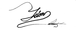 TETON trademark