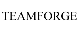 TEAMFORGE trademark