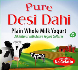 "CONTAINS NO GELATIN" "ORIGINAL HOMESTYLE" "PURE DESI DAHI" "ALL NATURAL * PREMIUM * WHOLE MILK YOGURT" "NET WT 32OZ (907G) trademark