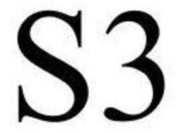 S3 trademark