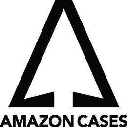 AMAZON CASES trademark
