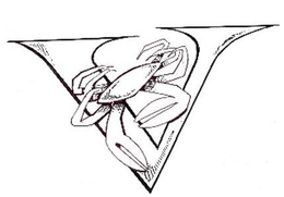 V trademark