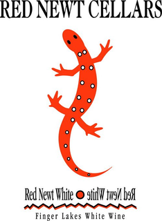 RED NEWT CELLARS RED NEWT WHITE FINGER LAKES WHITE WINE trademark