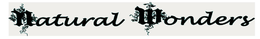 NATURAL WONDERS trademark
