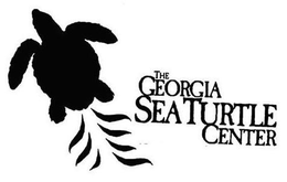 THE GEORGIA SEA TURTLE CENTER trademark