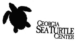 GEORGIA SEA TURTLE CENTER trademark
