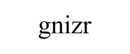 GNIZR trademark
