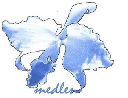MEDLEN trademark