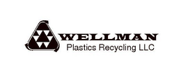 WELLMAN PLASTICS RECYCLING LLC trademark