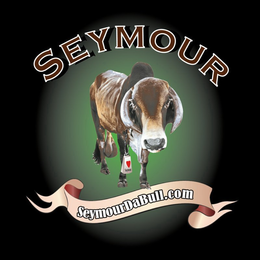 SEYMOUR SEYMOUR SEYMOURDABULL.COM trademark