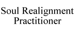 SOUL REALIGNMENT PRACTITIONER trademark
