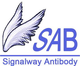 SAB SIGNALWAY ANTIBODY trademark