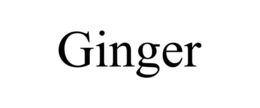 GINGER trademark