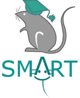 SMART trademark