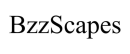 BZZSCAPES trademark