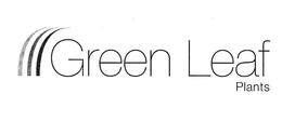GREEN LEAF PLANTS trademark