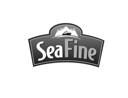 SEAFINE trademark