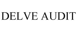 DELVE AUDIT trademark