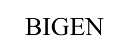 BIGEN trademark