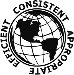 CONSISTENT APPROPRIATE EFFICIENT trademark