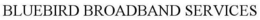 BLUEBIRD BROADBAND SERVICES trademark
