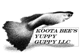 KOOTA BEE'S YUPPY GUPPY LLC trademark