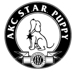 AKC S.T.A.R. PUPPY AMERICAN KENNEL CLUB FOUNDED 1884 AKC trademark