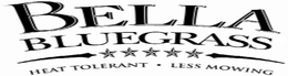 BELLA BLUEGRASS HEAT TOLERANT LESS MOWING trademark