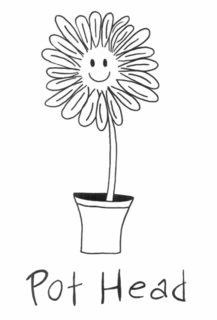 POT HEAD trademark
