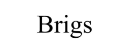 BRIGS trademark