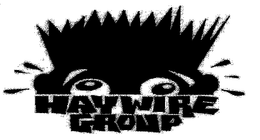 HAYWIRE GROUP trademark