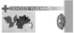 DENTISTE' PLUS WHITE LABEL NATURA INSTITUTO 1912 DENTISTE' trademark