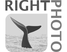 RIGHT PHOTO trademark