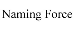 NAMING FORCE trademark