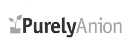PURELY ANION trademark
