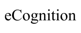 ECOGNITION trademark
