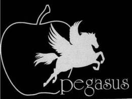 PEGASUS trademark