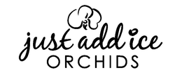 JUST ADD ICE ORCHIDS trademark